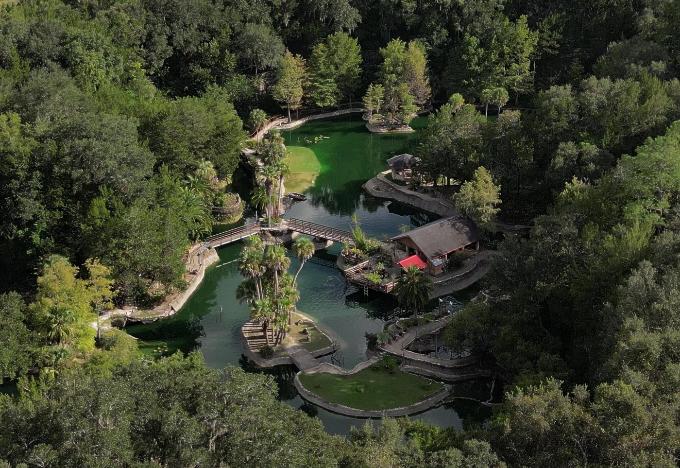 The Garden In A Query by Mike Fernandez