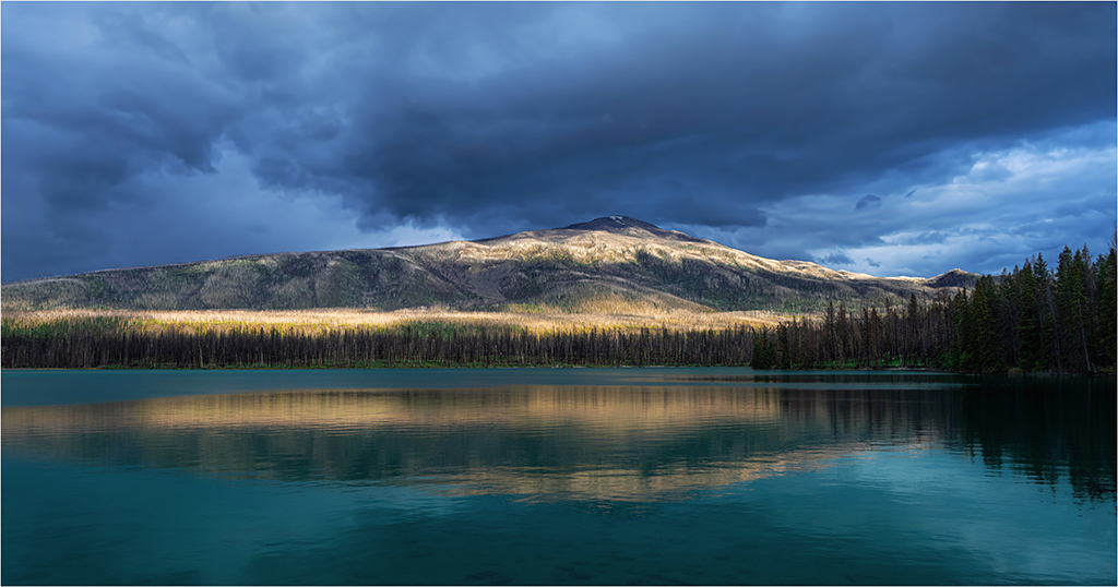 Annette Lake Undergoing Secondary Succession by Charles Walker