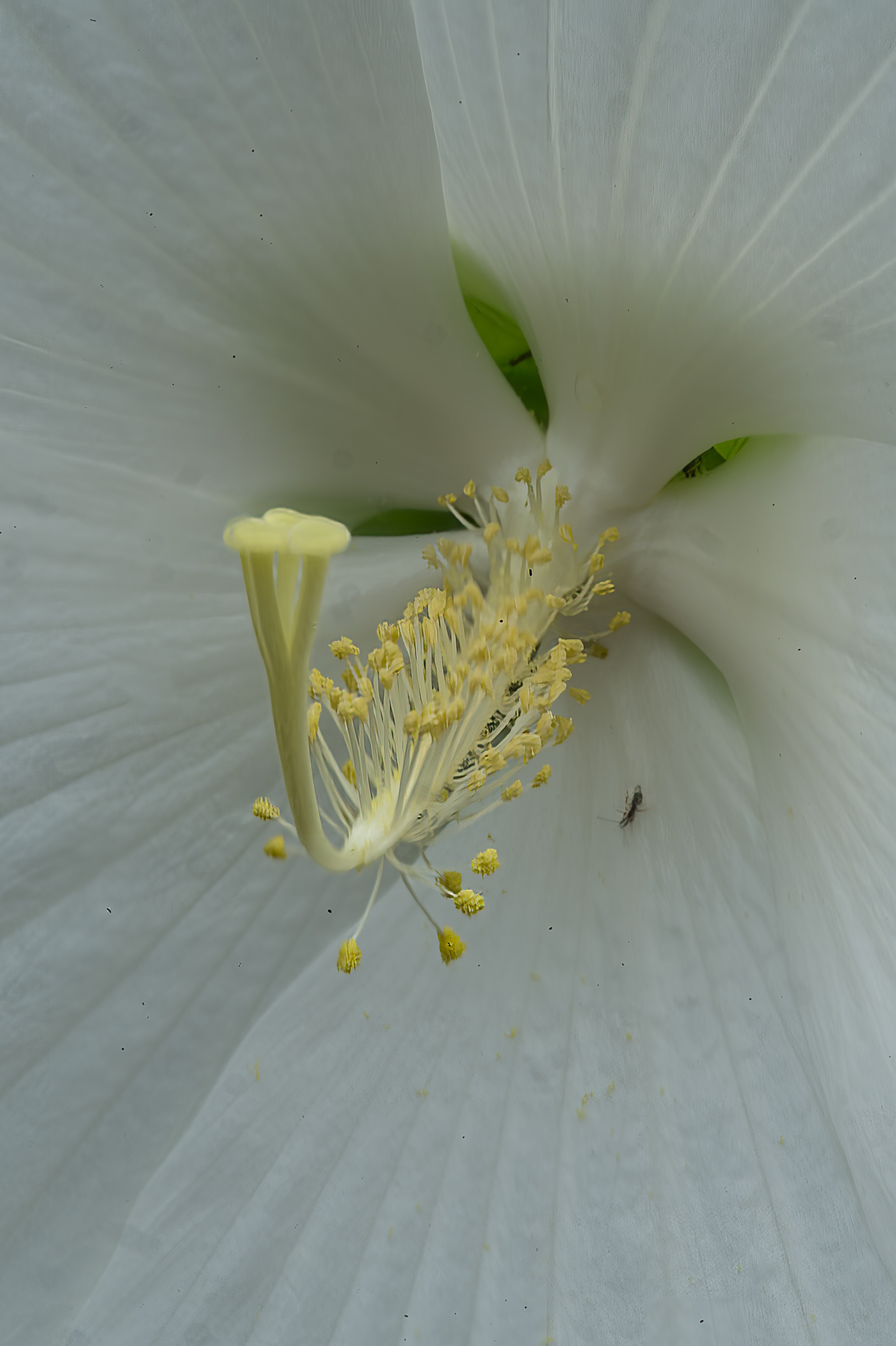 Untitled by Jeff Fleisher