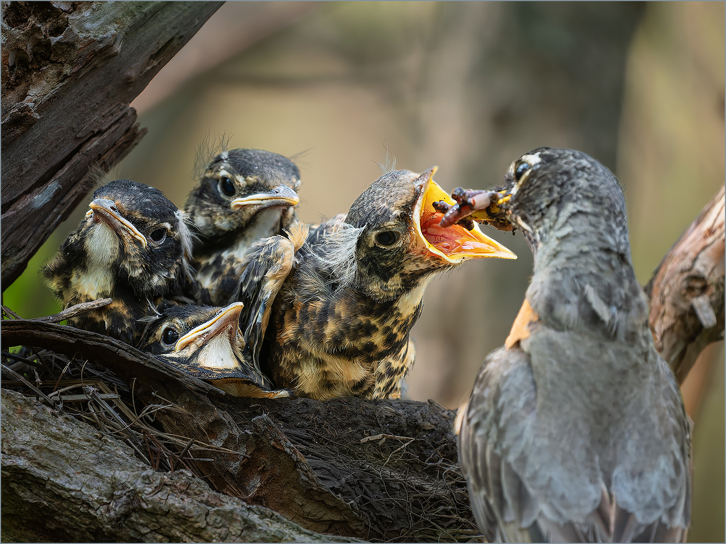 More please! by Jeremy Martin